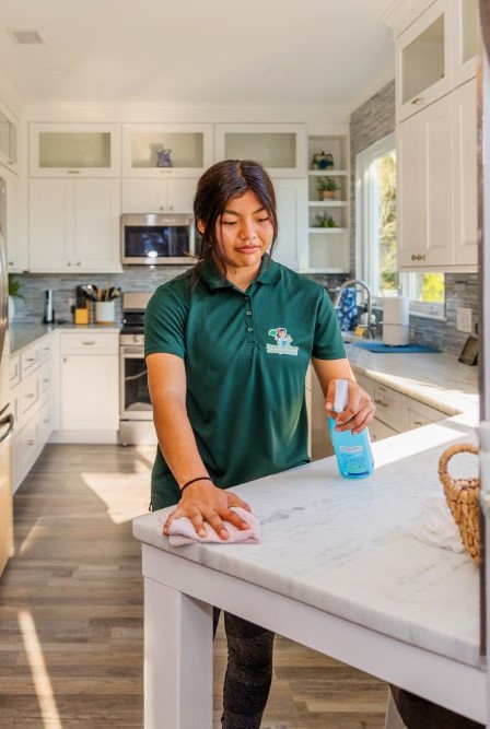 kitchen cleaned by a maid